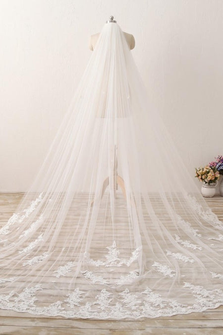 Cathedral Length Appliques Tulle Ivory Wedding Veil Styles