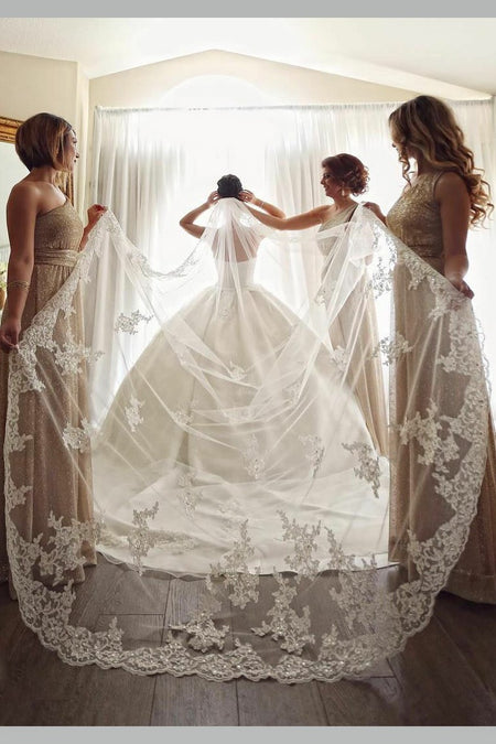 Floral Lace Long Bridal Veil with Appliques Train