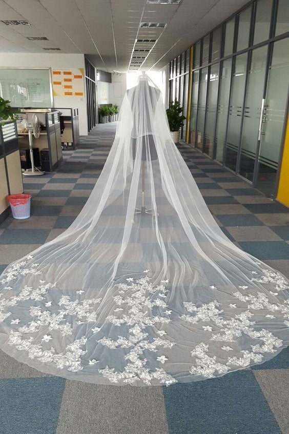 https://www.loveangeldress.com/cdn/shop/products/cathedral-length-appliques-tulle-ivory-wedding-veil-styles_1024x1024.jpg?v=1571869704