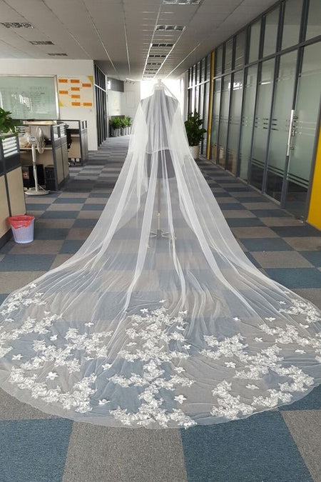 Cathedral Veil with Alencon Lace Edge Long Mantilla Veils