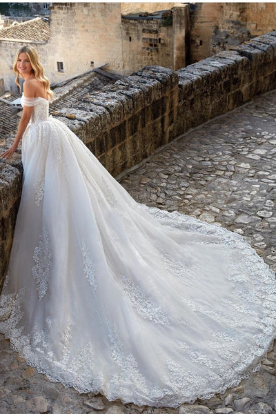 Classic Tulle Wedding Dress with Lace Appliques Train