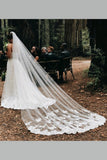 ivory-tulle-bridal-wedding-veils-long-lace-photography