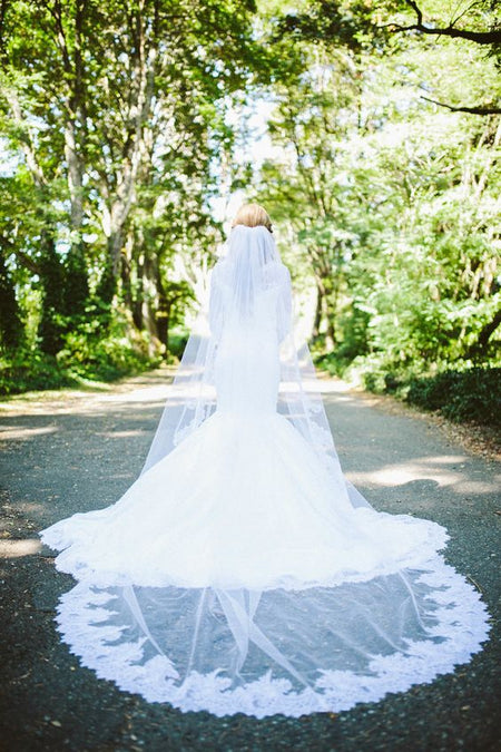 Ivory Tulle Bridal Wedding Veils Long Lace Photography