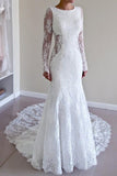 sheer-long-sleeves-lace-wedding-dresses-backless