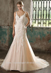 v-neckline-appliques-fit-flare-bride-dress-champagne-wedding-gowns-online